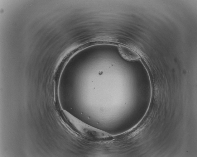 X0000067001123200603311607