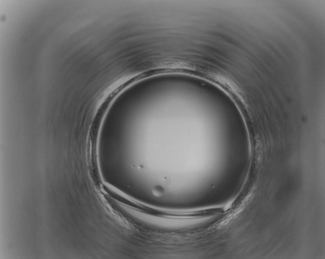 X0000067001125200603311607