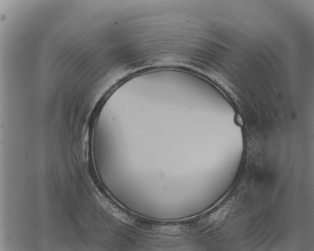 X0000067001126200603311607