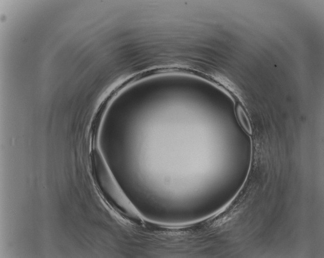 X0000067001127200603311607