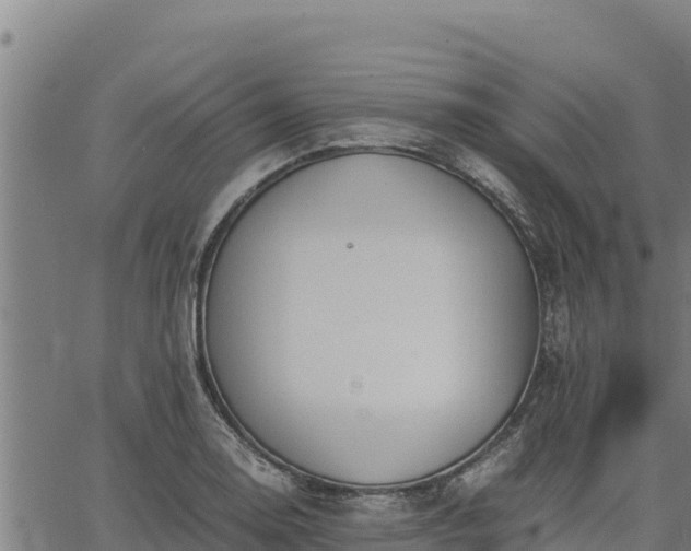 X0000067001130200603311607