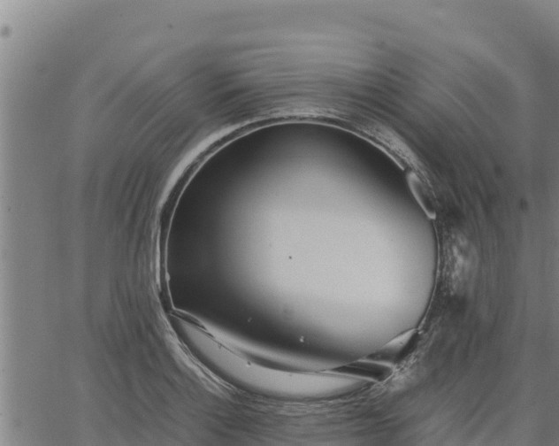 X0000067001132200603311608