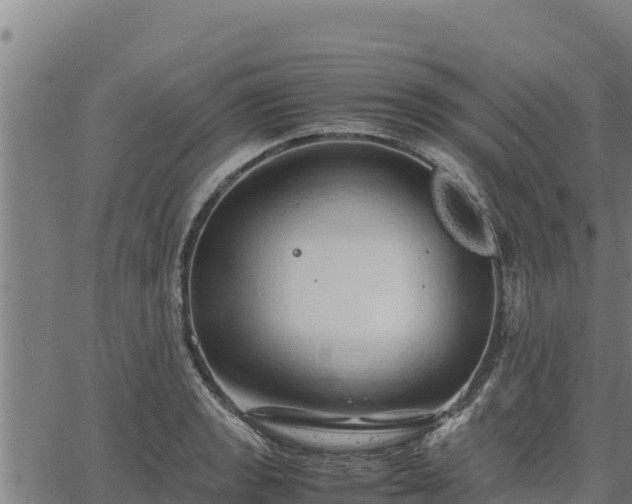 X0000067001133200603311608