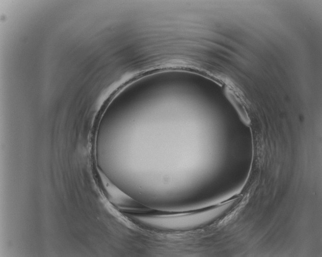 X0000067001134200603311608