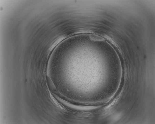 X0000067001137200603311608