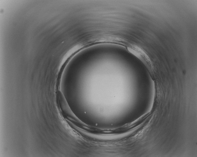 X0000067001138200603311608