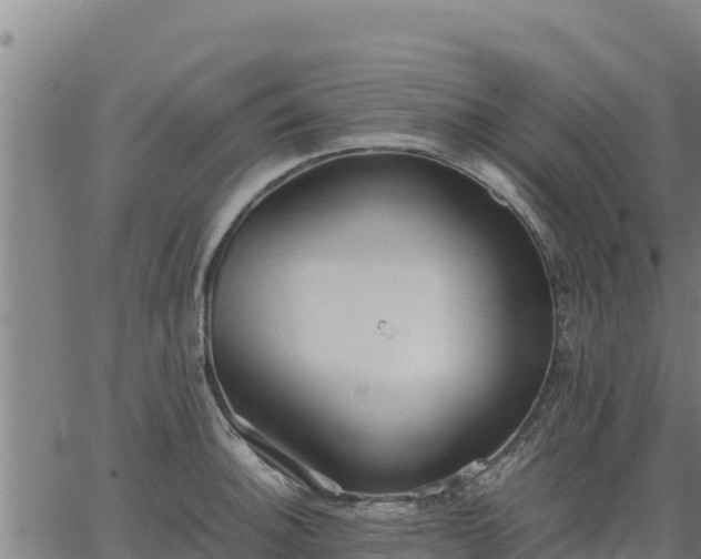 X0000067001140200603311608