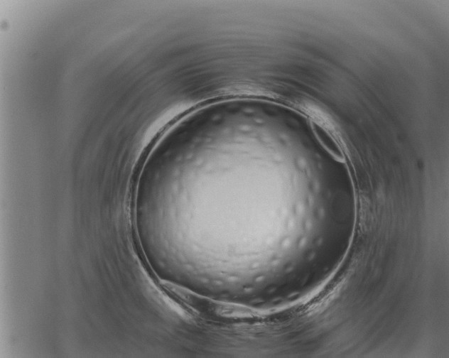 X0000067001141200603311608