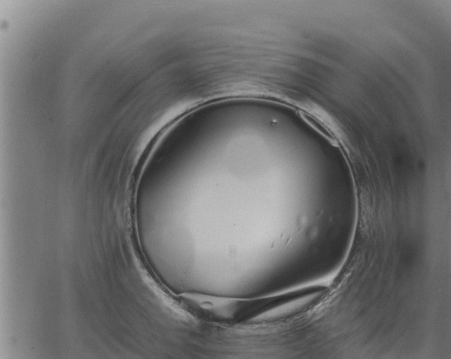 X0000067001142200603311608