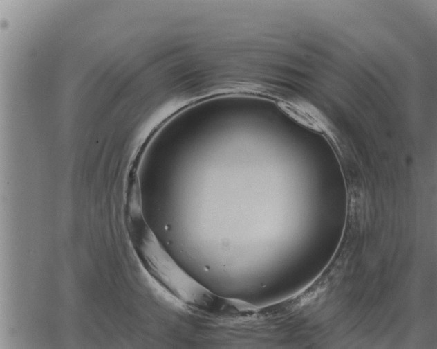 X0000067001143200603311608