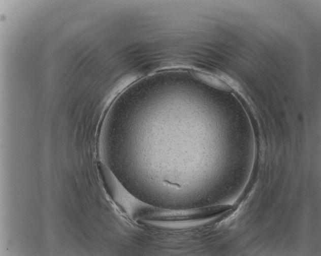 X0000067001145200603311608