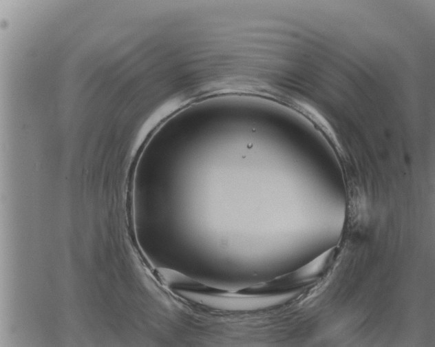 X0000067001146200603311608