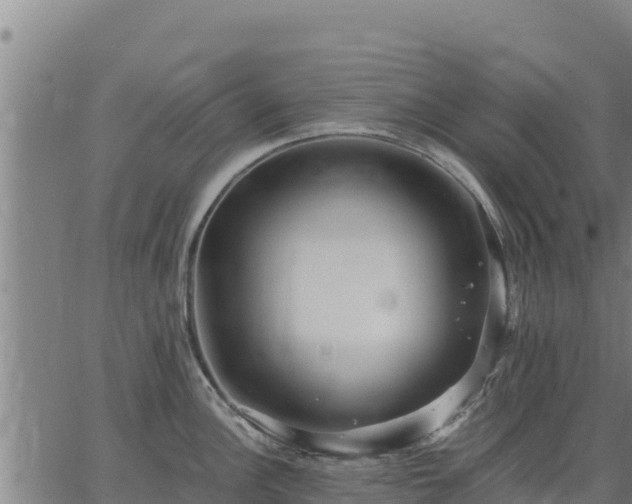 X0000067001148200603311608