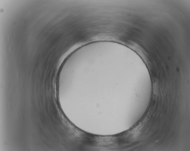 X0000067001150200603311608