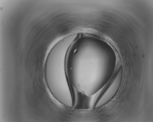 X0000067001152200603311608