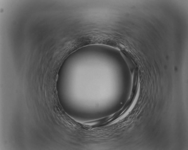 X0000067001153200603311607