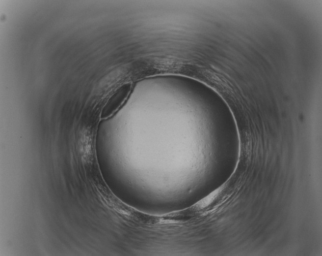 X0000067001154200603311607