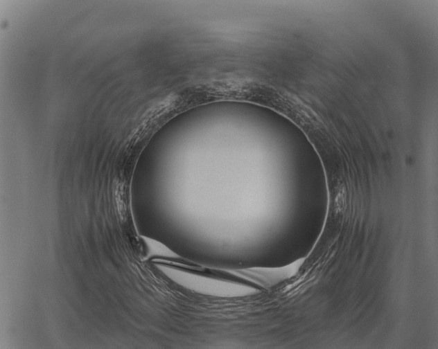 X0000067001156200603311607