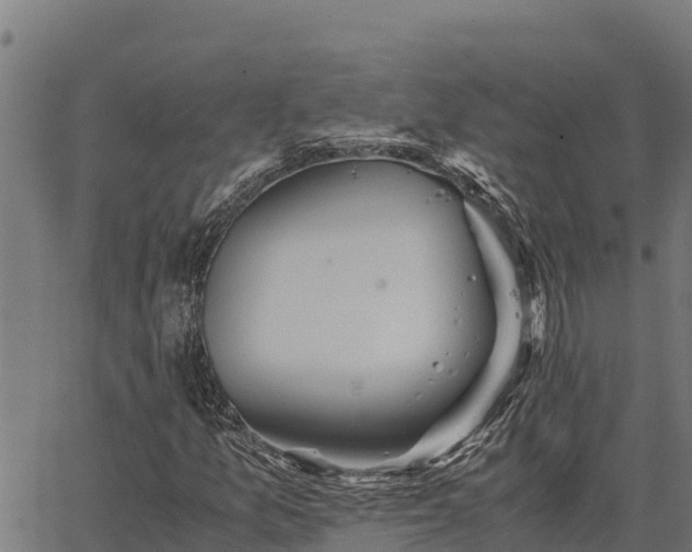 X0000067001157200603311607