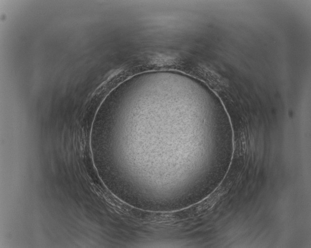 X0000067001158200603311607