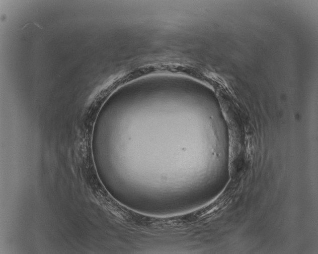 X0000067001159200603311607