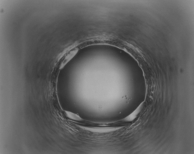 X0000067001160200603311607