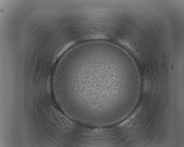 X0000067001162200603311607