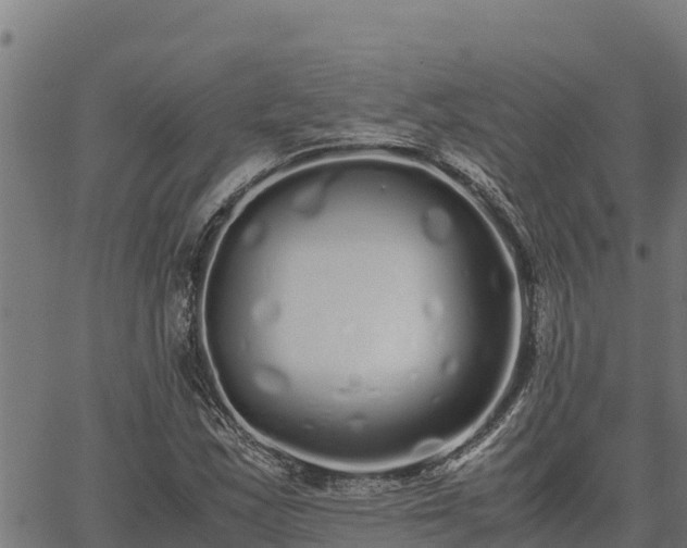 X0000067001163200603311607