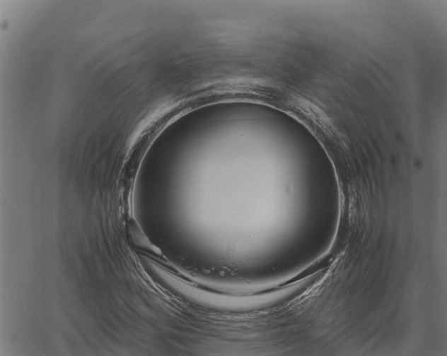 X0000067001164200603311607