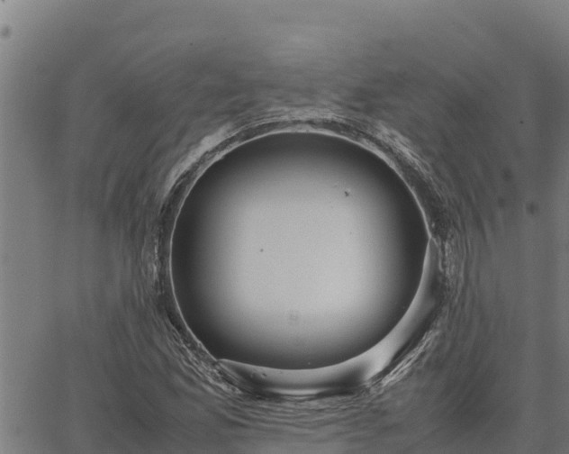 X0000067001165200603311607