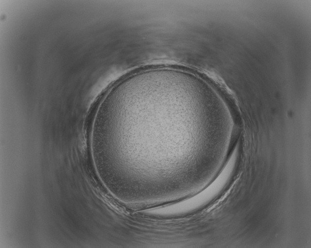 X0000067001167200603311607