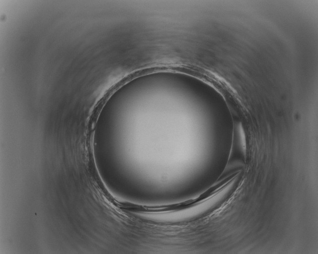 X0000067001168200603311607