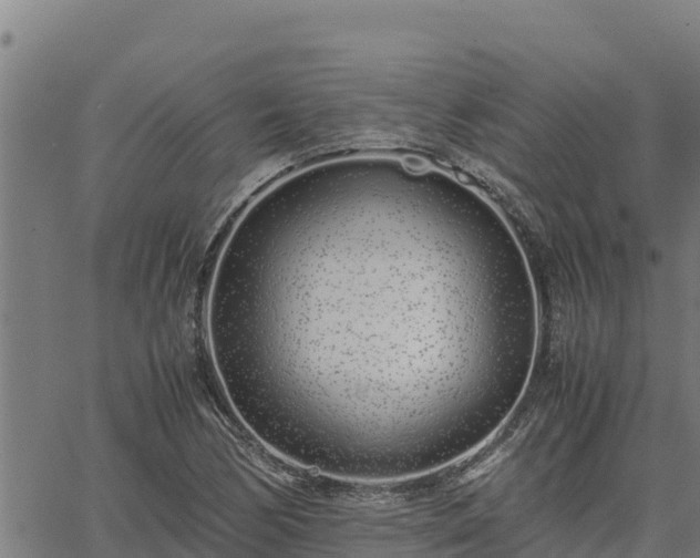 X0000067001170200603311607