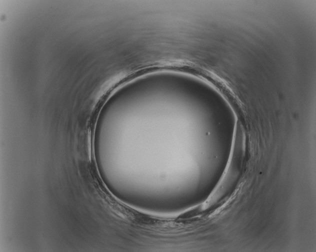 X0000067001171200603311607