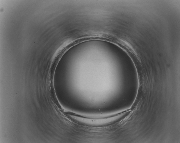 X0000067001172200603311607