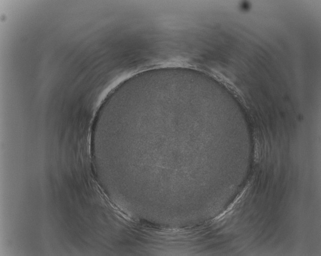 X0000067001174200603311607