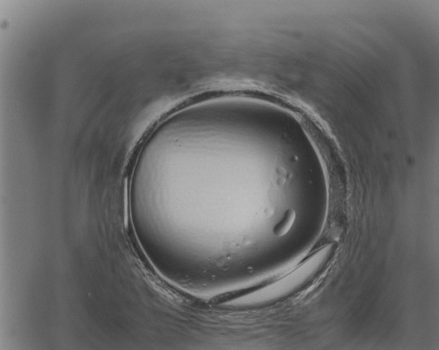 X0000067001175200603311607