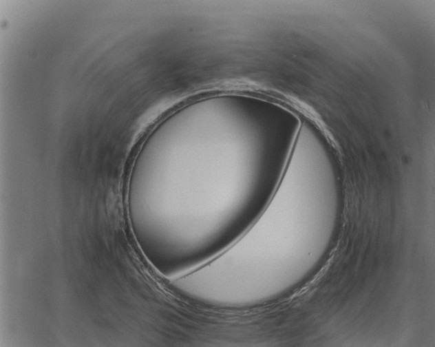 X0000067001176200603311607