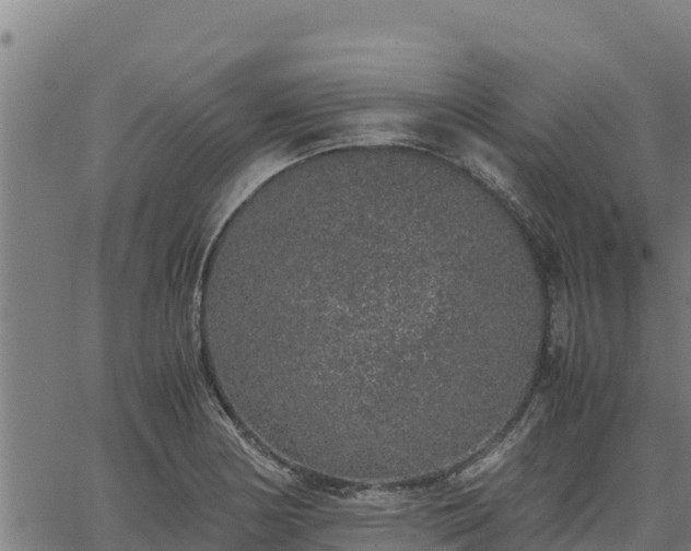 X0000067001178200603311607