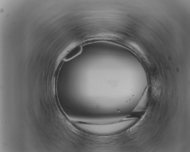 X0000067001180200603311607