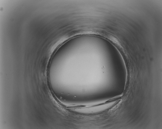 X0000067001181200603311607