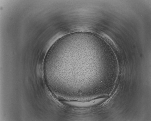 X0000067001182200603311607