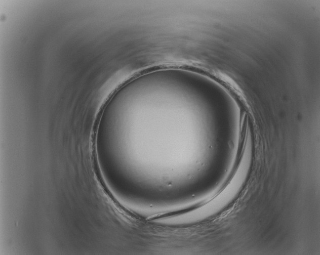 X0000067001183200603311607