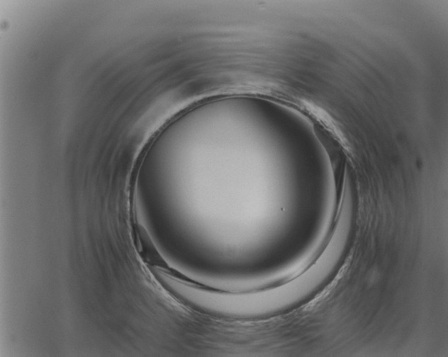 X0000067001184200603311607