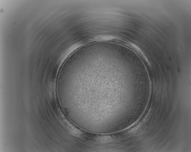 X0000067001186200603311607