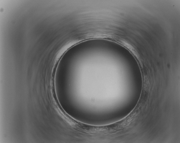 X0000067001187200603311607