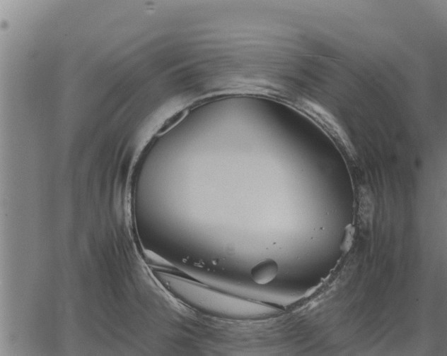 X0000067001188200603311607