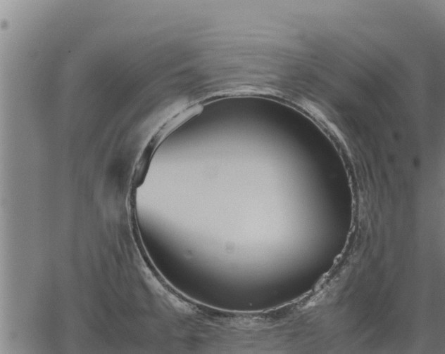 X0000067001189200603311606