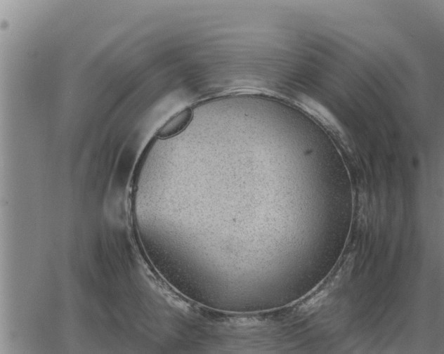 X0000067001190200603311606