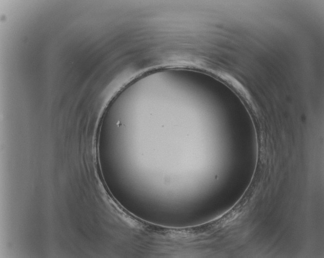 X0000067001191200603311606